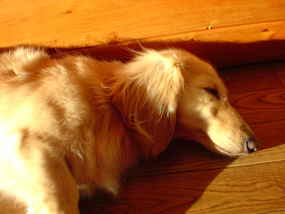 c0117831_20301160.jpg