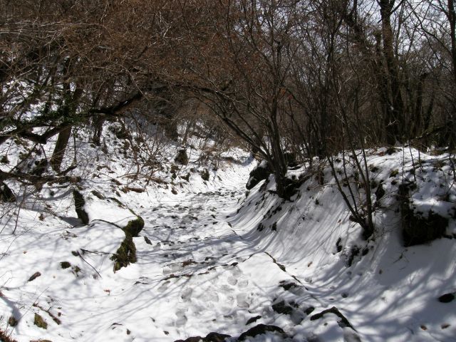 e0145033_20183428.jpg