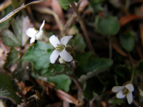 e0145033_20184888.jpg