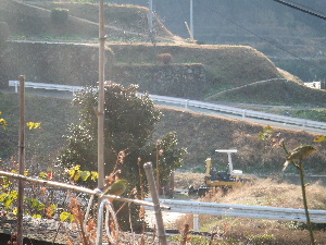 a0054240_21263186.jpg