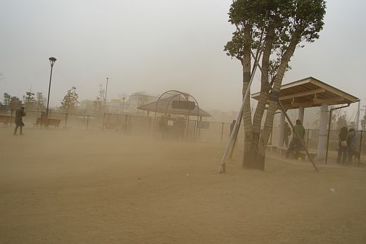 a0082146_23403254.jpg