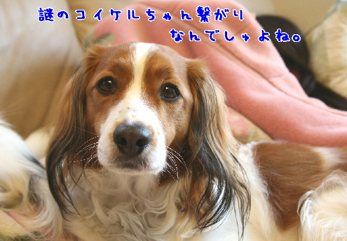 d0013149_100158.jpg