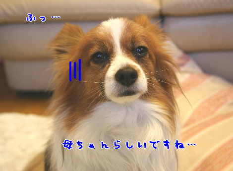 d0013149_10491880.jpg