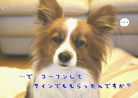 d0013149_10505018.jpg