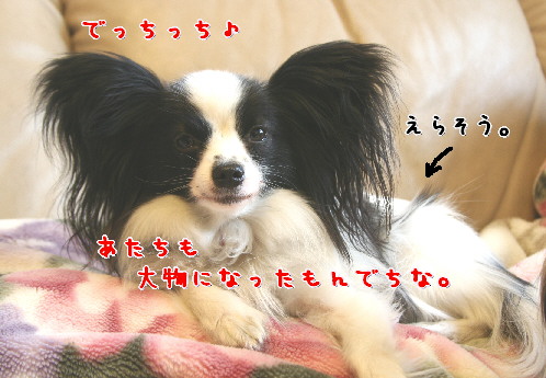 d0013149_11123183.jpg