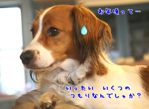 d0013149_9291587.jpg