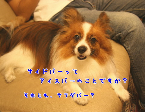 d0013149_9295964.jpg