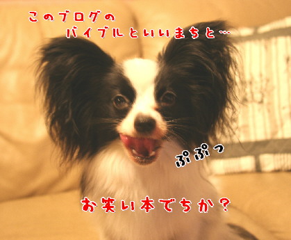 d0013149_9303176.jpg