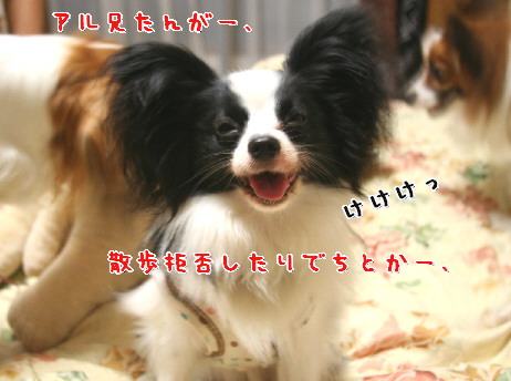 d0013149_9321893.jpg
