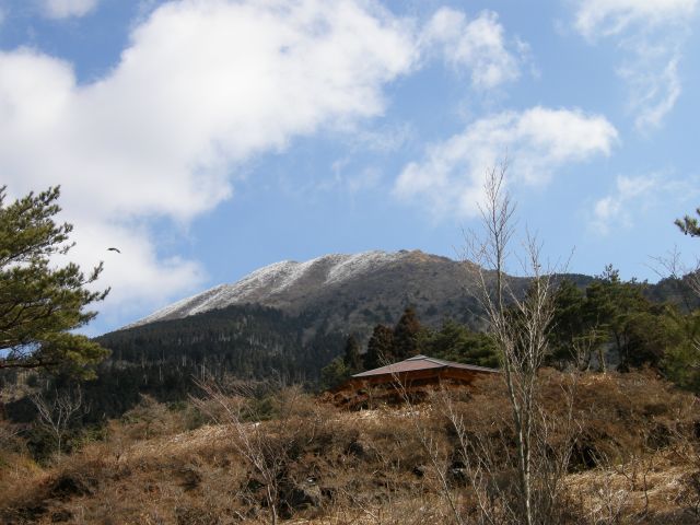 c0042869_18415492.jpg