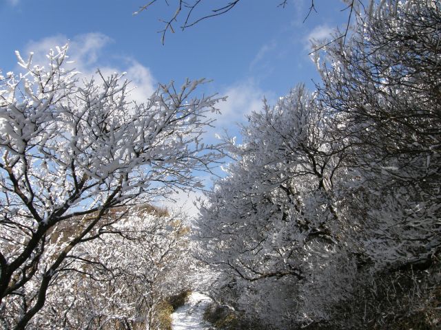 c0042869_18482358.jpg