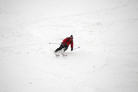 d0079579_19462036.jpg