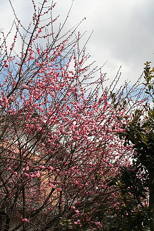 c0045882_23515925.jpg