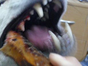 c0123890_21435573.jpg