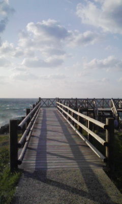 c0106491_8174675.jpg