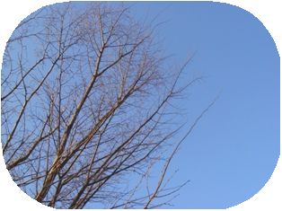 e0111793_17454099.jpg
