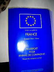 f0041600_844145.jpg