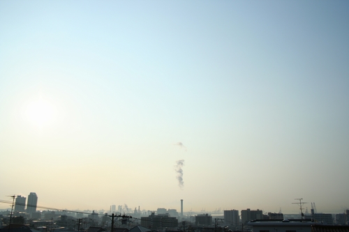 d0131006_2330238.jpg