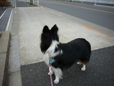e0130008_20172197.jpg
