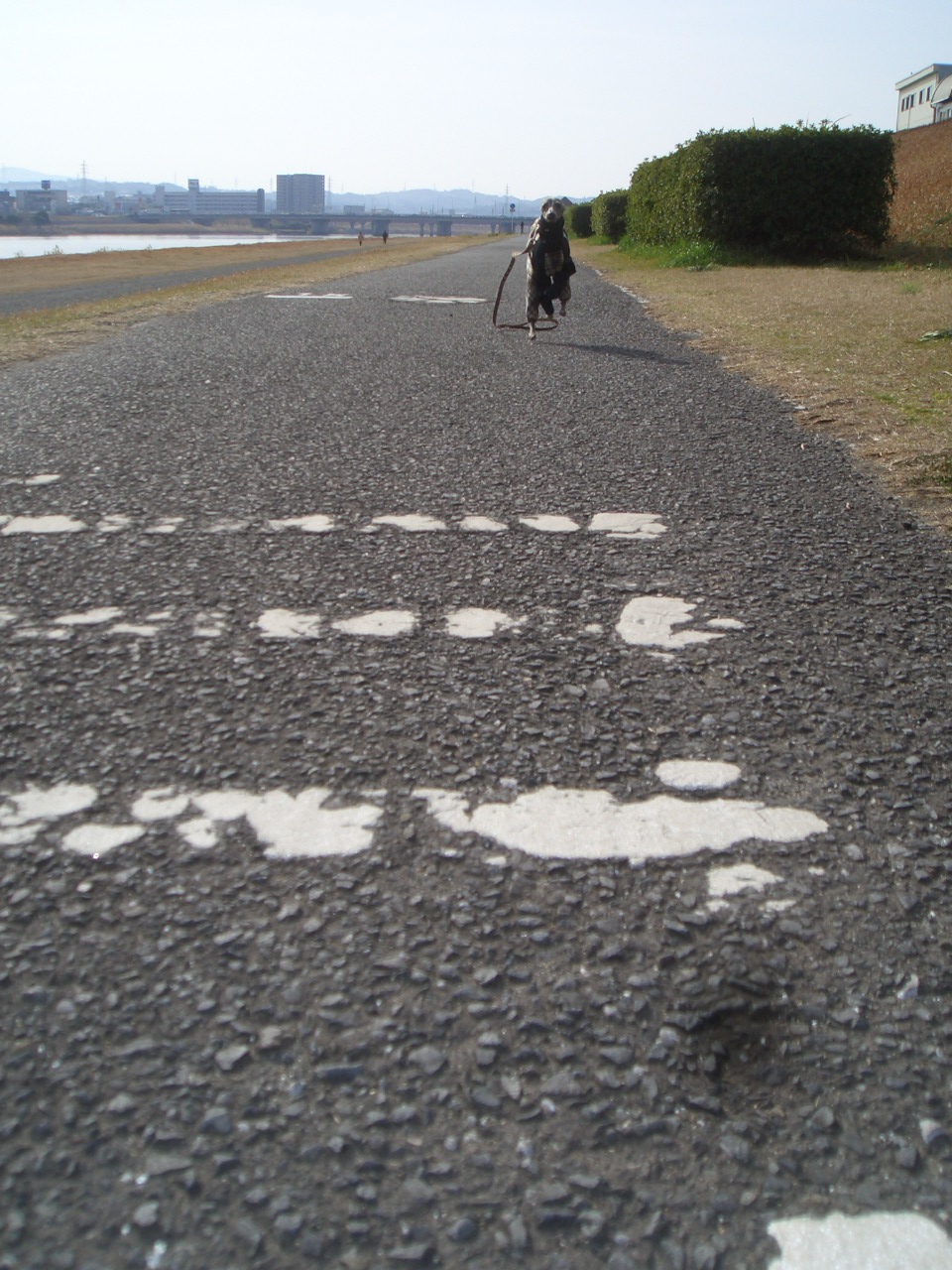 e0141909_21421591.jpg