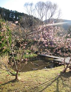 f0040310_169439.jpg