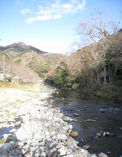 f0040310_169717.jpg