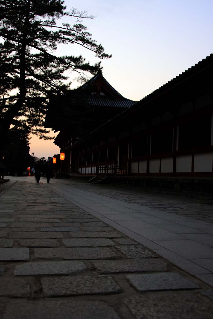 d0085715_031857.jpg
