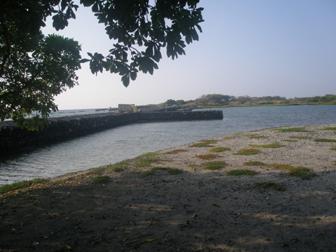 a0097322_1255187.jpg