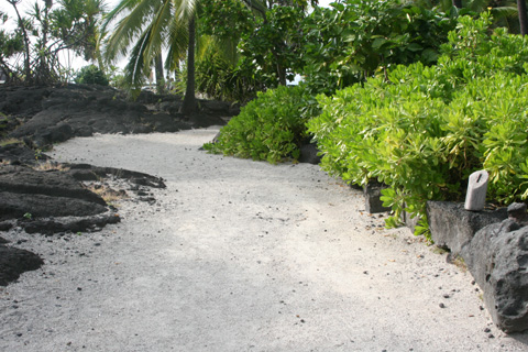 a0097322_1371041.jpg
