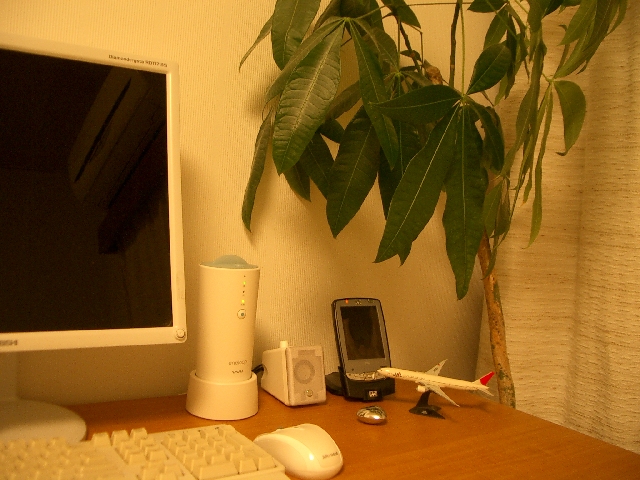 e0137022_21533234.jpg