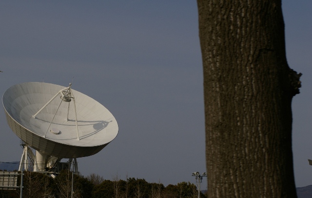 c0107924_0194823.jpg