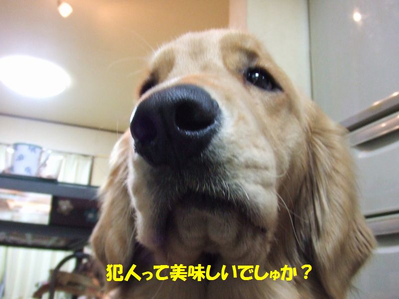 a0105425_1181371.jpg