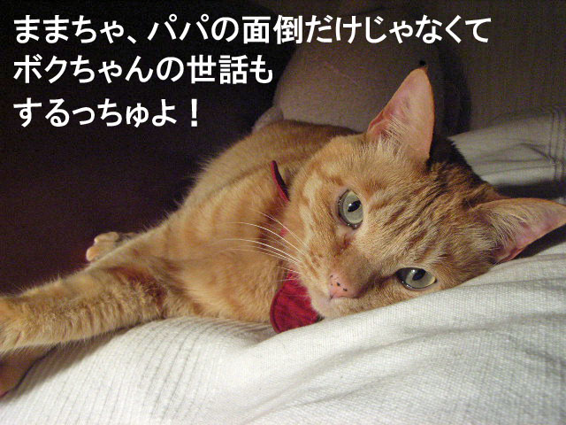 d0081025_20382512.jpg