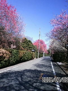 d0105731_20204813.jpg