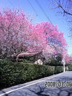 d0105731_20231071.jpg