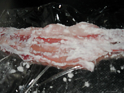 d0017632_0513057.jpg
