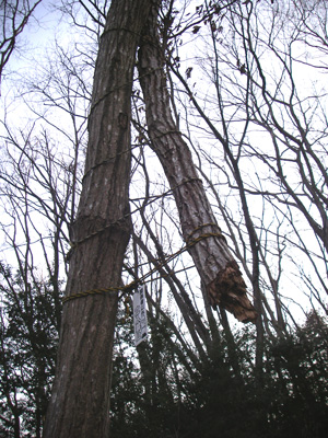 e0008833_21231150.jpg