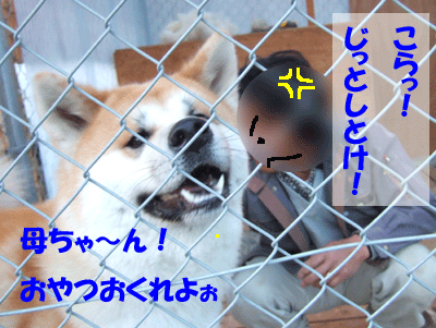 f0008935_13352952.gif