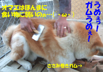 f0008935_13361866.gif