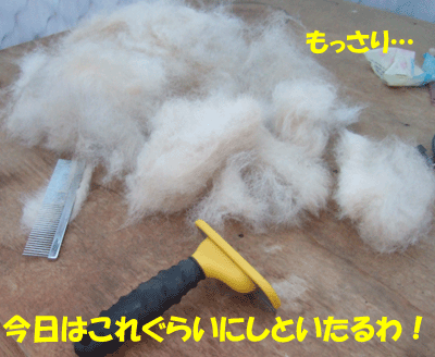 f0008935_13363561.gif