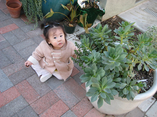 f0045736_445846.jpg