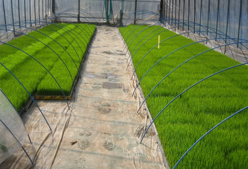 f0042737_22471576.jpg