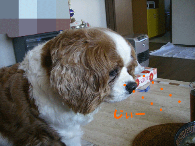 c0136838_22362327.gif