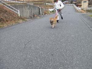 a0054240_17584731.jpg