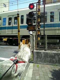 e0143442_1812194.jpg