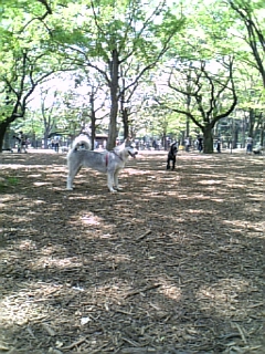 e0143442_18123915.jpg