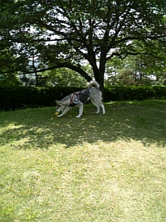 e0143442_184084.jpg
