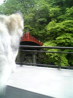 e0143442_18445362.jpg