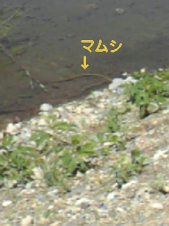 e0143442_1913265.jpg