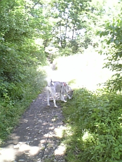 e0143442_1914213.jpg